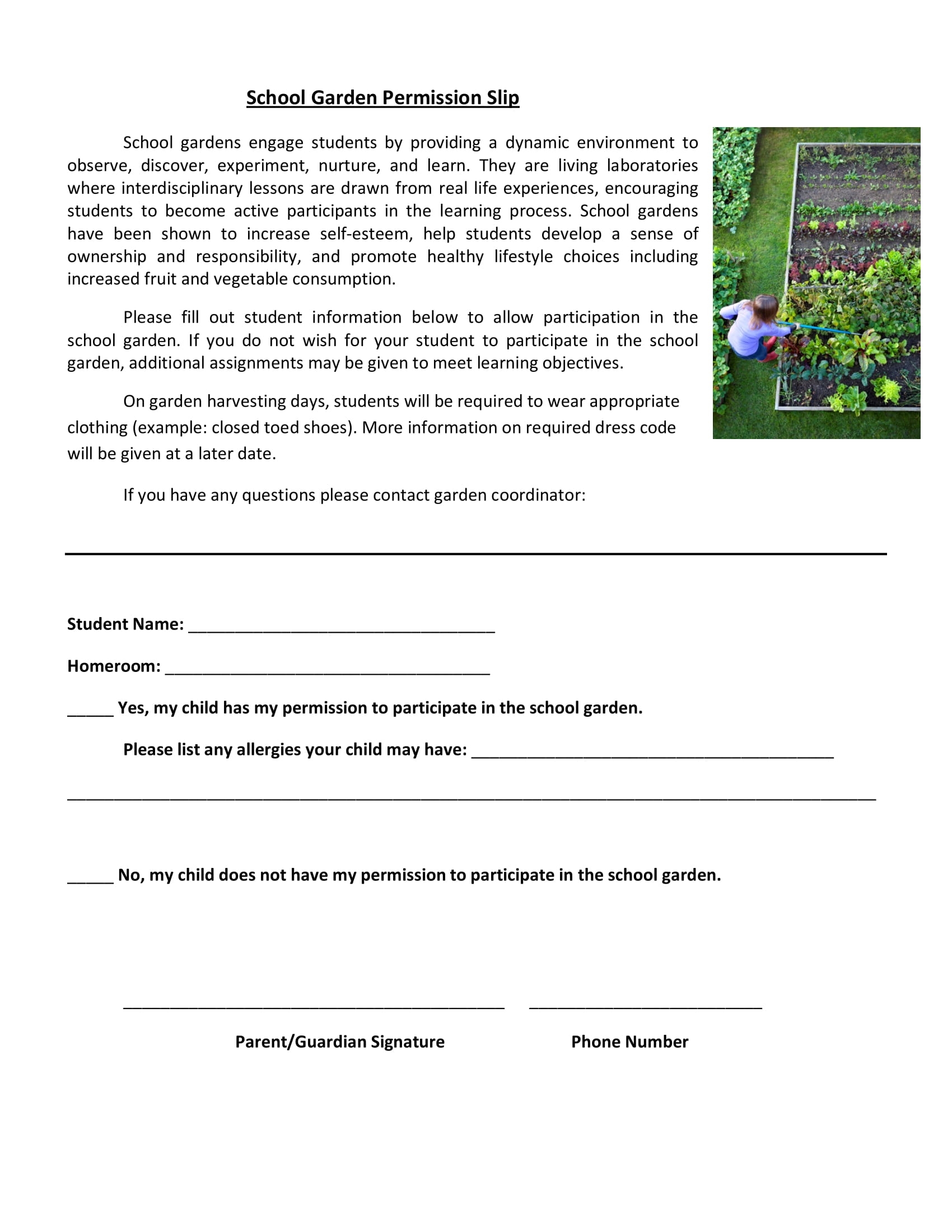 12 Permission Slip Examples To Download