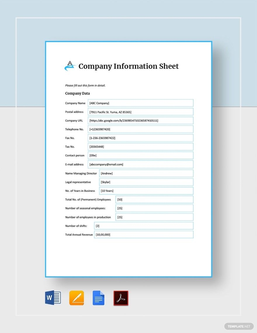 Company Information Sheet Template In Google Docs Word Pages PDF Download Template
