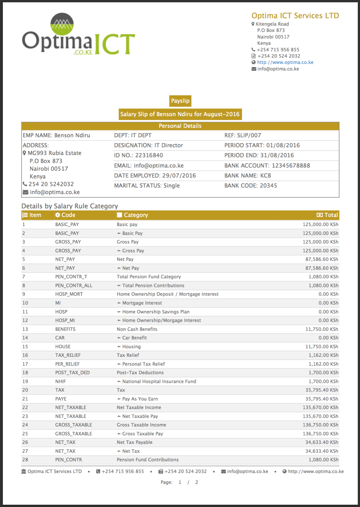 Professional Payslip Templates
