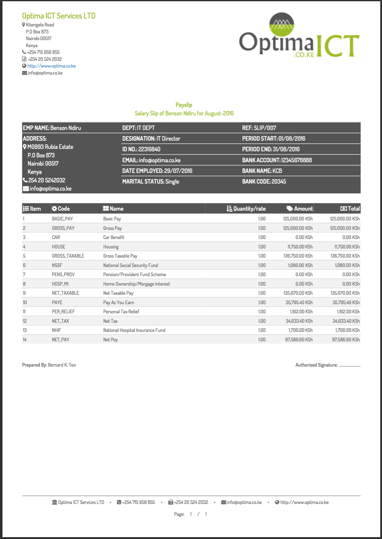 Professional Payslip Templates