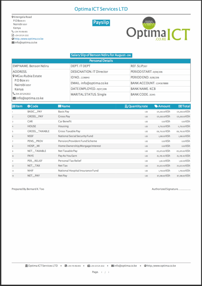 Professional Payslip Templates