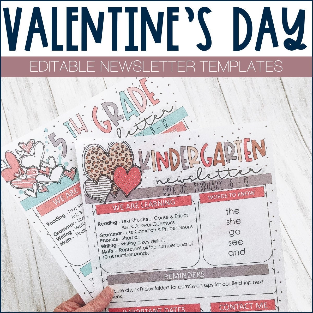 Valentines Day Newsletter Templates Etsy